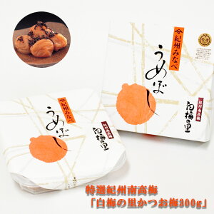 Mtg  ~ IIB썂~u~̗300gv(~jp ~ Y IB ߂ڂ ~  Zbg Е ٓ ~  |Cg