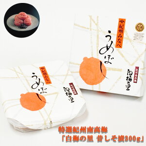 Mtg  IIB썂~u~̗300gv(̂Ёjp ܖY ̂Ђ Y IB ̂Ȃ ߂ڂ  Ђ ~  Е ~  y