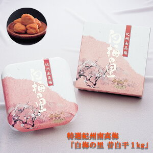 Mtg  ~  IIB썂~u~̗1kgv(̔j Y IB ̂Ȃ ߂ڂ ~ Е 蕨 TԂ ٓ ~  y