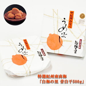 Mtg  ~ IIB썂~u~̗500gv(̔jp Y IB ̂Ȃ ߂ڂ ~ Е ~  y