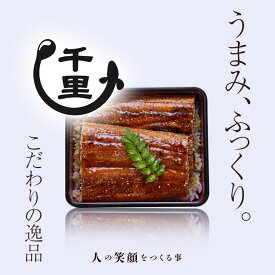 父の日 内祝い ギフト うなぎ 国産 送料無料 蒲焼 千里うなぎ 千里うなぎ蒲焼 (大) 150g×5尾 無頭 5尾 国産 うなぎ セット 冷凍発送 鰻 ウナギ 鹿児島 手土産