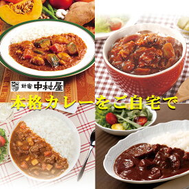 送料無料 選べる 4種のカレー 新宿 中村屋 4種の本格カレー レトルト カリー ビーフカレー ハヤシ チキンカレー 野菜カレー 保存食 お試し おすすめ 一人前 一食 本格