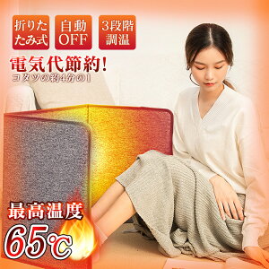 yVIizplq[^[  pl q[^[ fXN 2025 ₦΍ q[^[ ^C}[t ԊO ItBX fXNq[^[ ObY  S  g[  G 