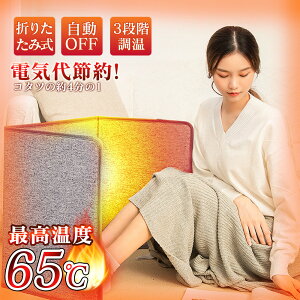 yVIizplq[^[  pl q[^[ fXN 2025 ₦΍ q[^[ ^C}[t ԊO ItBX fXNq[^[ ObY  S  g[  G 