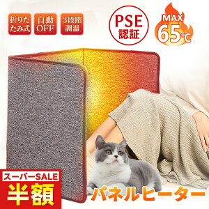 y]|OFFISdlzȃGl plq[^[ q[^[ fXNq[^[ 3ʔM L ybg p  ঒ plq[^[঒ CR dC  pl q[^[ fXN  