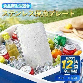 5点入【繰り返し使用】sus304 ステンレス 保冷剤 長時間 保冷プレート 冷凍 冷蔵 冷却 プレート お弁当 あら熱取り レート コールドプレート 長持ち 保冷剤 急冷 クーラーボックス 車 車用 キャンプ アウトドア 通勤 通学 コンパクト 熱中症対策グッズ お弁当 食品衛生法適合