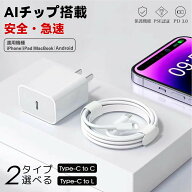 【2026年モデル】急速充電器 充電ケーブル 充電器＋ケーブルの2点 20W スマホ Android Type-C 急速充電 …