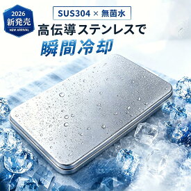 【2026年モデル】 【当日出荷】 【急速冷却・最大約12時間冷却持続】 アイスパック 氷嚢 氷のう ステンレス保冷剤 保冷プレート 保冷剤 高性能保冷 結露しない お弁当 保冷 長持ち 小型 軽量 SUS304 繰り返し使える クーラーボックス BBQ キャンプ 釣り スポーツ観戦