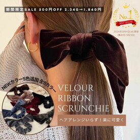 【期間限定500円オフ 2.340→1.840円】ランキング1位 ベロアリボンシュシュ リボン ベロア ゴム ヘアアクセサリー レディース 髪留め クリップ リボン ヘアアレンジ ヘアアクセサリー オケージョン 入学式 卒業式 Z014