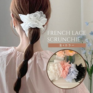 [XVV wAANZT[ Vv  zCg ubN sN u[ ăACe  S wAAW ؍wA Si Z061