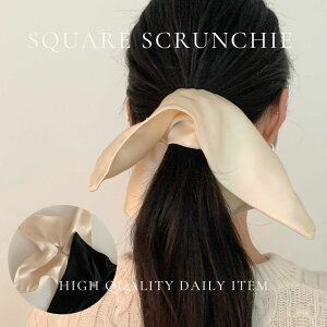 XNGAVV 傫 S wAANZT[ fB[X ob^  Nbv XNGA wAAW ؍wA wAANZT[   Z137