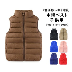 ȃxXg q xXg H~ _ExXg LbY WjA qp ̎q j̎q AE^[ X^hlbN Wbv 㒅 JWA Vv n  ΍ g 񂵗 