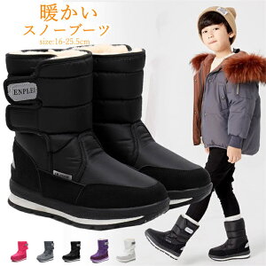 Xm[u[c LbY h u[c LbY ̎q j̎q q Xm[V[Y@~hu[c {Au[c h΍ V g h h ~ AEgbg hu[c qC ~ {