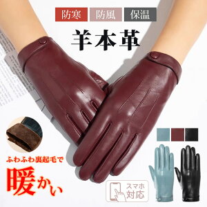 {v fB[X X}[gtH X}z {v U[O[u U[ V[vXL rv Vv ^b`plΉ  h N ㎿ g h ĂԂ U