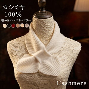 JV~100 RpNg}t[ lbNEH[}[ JV~A fB[X n Vv ݃^Cv ~j V[g ~j}t[ jbg v` Xk[h ₦Ƃ h ΍yVRf