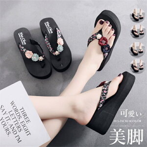 T_ ~[ q[ fB[X  V[Y  傫TCY ԕ s ][g r[` s r[T Xbp 킢  r V[Y RtH[g JWA Vv