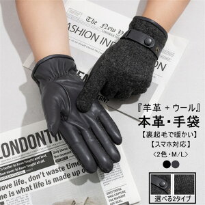  Y ^b`plΉ }zΉ U[ v O[u Ԃ jp am ʋ rWlX {v {v E[100% h h ۉ oCN ] AEghA N Mtg 