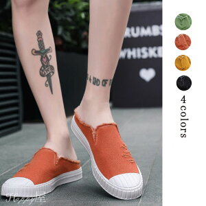 Xb| Xj[J[ T_ Jbv Y YbNC JWAV[Y AEghA V[Y n ʊw ʋC t V 