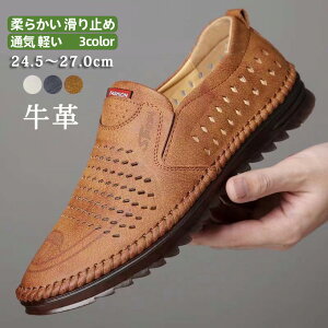 rWlXV[Y Y bVT_ vC v Xb| rWlXT_ JWA ʋCQ jp ~ y Ȃ ʋC _炩 ȒPE ItBX  am