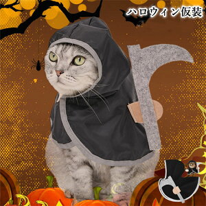 nEB ybgp }g RXv L̎_̈ߑ RXvObY ϐg NX}X a nEB ʐ^ lC LOBe