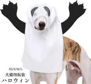 nEB ybgRX`[ ʔ L/pS[XgRX`[ nEB̌̃RX`[ Lp nEBRXvpybgߑ