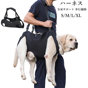 p n[lX xXgn[lX hCuxXgn[lX ybgp pi  ybgp V gC̕⏕ nr Q T|[g [h U pp oR s⏕n[lX tgn