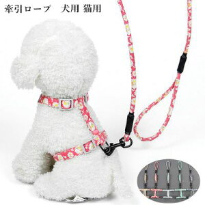 [v [hZbg ybgpi n[lX [h  ^ hbOEFA  ^  ^  p Lp 