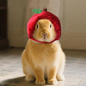 ybgpXq L ^ bg Ԃ蕨 S RXv  nEB Cxg p[eB Be  Lbv  ʕ ybgObY Lpi pi 킢