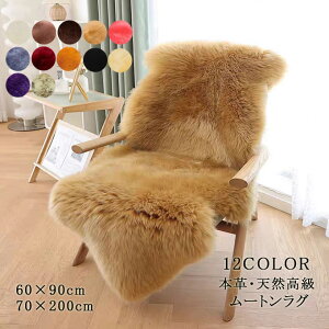 ���[�g�����O 60×90cm ��C�� �{�v �V�R�������[�g�� �������� �g���� ���������� �ґ� �r�є� �k�� ���i�� �����x �ӂ�ӂ� �H �~ �I�[���V�[�Y�� ������� 70*200cm 2�C�T�C�Y ���A���t�@�[ �L