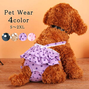 p pc ăTj^[pc TXy_[t ̎qp@}i[pc  ނJo[ ybg pi 킢  hbOEFA ނ ^ o@Rbg