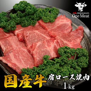 Y [X ē BBQ 4`5l 1kg (500g×2pbN)   SĂ  蕨 v[g ƒp 䒆 Ε j ̓ ̓ hV̓