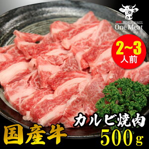Y Jr ē 2~3l 500g BBQ o[xL[ H  Mtg 蕨 v[g Ε 䒆 j  hV̓ ̓ 