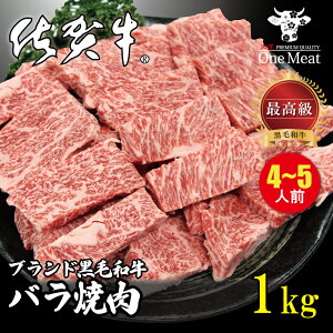 _Mtgɂ^ ꋍ A4 A5N јa o ē BBQ 4`5l 1kg i250g×4jJr uh o[xL[ H 蕨 v[g Ε 䒆 ̓ ̓ hV̓ j Mtg 