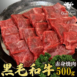 јa Ԑg  ē BBQ 2~3l 500g o[xL[ H Mtg  Mtg 蕨 v[g  Ε 䒆 ̓ ̓ hV̓ 