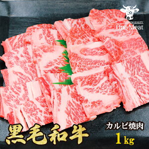 јa Jr ē BBQ 1kg (500g*2pbN)  Ă o[xL[ H 蕨 v[g Ε 䒆  ƒp Mtg p[eB[ LO j 