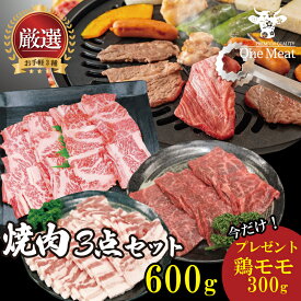 ＼お手軽 おまけ付／ 焼肉 BBQ 3種 セット 2～3人前 600g グルメ カルビ 赤身(モモ) 豚カルビ 豚バラ 鶏モモ プレゼント 詰め合わせ 肉 牛肉 豚肉 家庭用 贈り物 プレゼント ギフト 御中元 御歳暮 父の日 母の日 敬老の日 内祝 御祝 贈答 無料ラッピングOK 送料無料