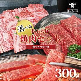食べきり 選べる 焼肉 BBQ 2種 セット 300g お手軽 グルメ カルビ 赤身(モモ) 牛タン ハラミ 肉 牛肉 家庭用 贈り物 プレゼント ギフト 御中元 御歳暮 父の日 母の日 敬老の日 内祝 御祝 贈答 無料ラッピングOK 送料無料
