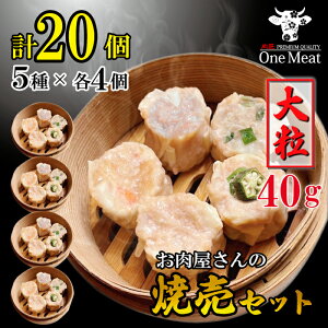 嗱 40g イ܂ Ĕ Zbg 20 (5×e4) lߍ킹 800g  VS Ⓚ ܂  ٓ ƒp 蕨 v[g Mtg 䒆 Ε j j hV̓