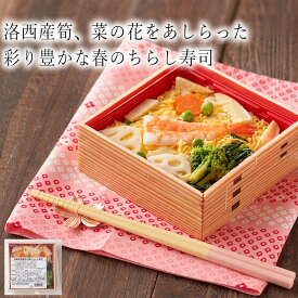 楽天市場 わんまいる楽天市場店の通販