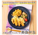 【定期購入】冷凍おかずセット「わんまいる美食弁当」 食品添加物無添加 国産食材100％使用 着色料 保存料 不使用 冷凍惣菜 食品 調理済み 冷凍おかず 冷凍弁当 カロリー 塩分 たんぱく質 糖質 炭水化物 ワンプレート トレー レンジ調理 ご当地食材