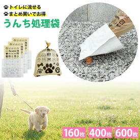 【全品P2倍~! 2/18限定】 お散歩 エチケットパック 散歩 マナー袋 ペット 犬 猫 うんち袋 ケース 処理袋 キャッチ フンキャッチャー 大容量 160枚 400枚 600枚 うんち入れ トイレ袋 無香料 UC-1X160