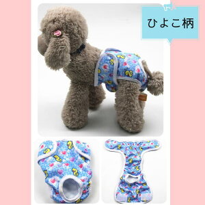 Jo[pc p p}i[pc ނJo[ ̎q Tj^[pc ppc pނ 쌢pi 􂦂z  D 1 }i[EFA gCpi hbOEGA }