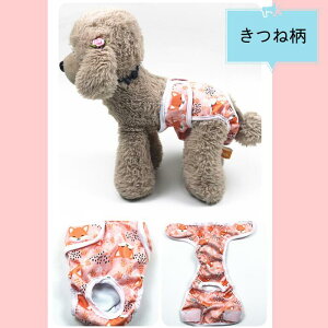 Jo[pc p p}i[pc ނJo[ ̎q Tj^[pc ppc pނ 쌢pi 􂦂z  D 1 }i[EFA gCpi hbOEGA }