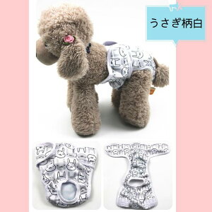 Jo[pc p p}i[pc ނJo[ ̎q Tj^[pc ppc pނ 쌢pi 􂦂z  D 1 }i[EFA gCpi hbOEGA }