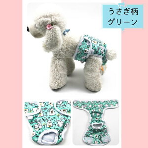 Jo[pc p p}i[pc ނJo[ ̎q Tj^[pc ppc pނ 쌢pi 􂦂z  D 1 }i[EFA gCpi hbOEGA }