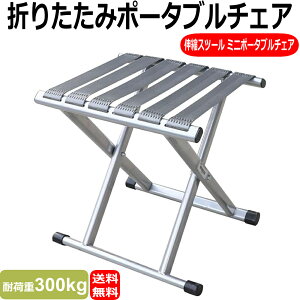 AEghA`FA ܂肽݃CX Lvp LkXc[ |[^u`FA ω׏d300kg AEghA Lv ނ ~j|[^u`FA oR tBbVO`FA