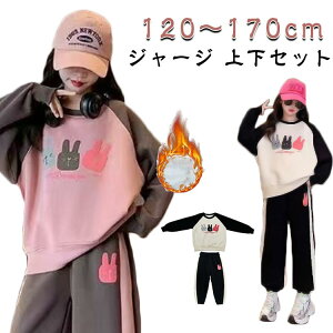 q pW}  LbY ߑ H ㉺Zbg Opc ~ N _X XEFbg W[W  X|[cEFA