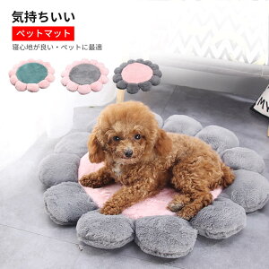 t ?ۉ ӂӂ  킢 􂦂 ^ Lp Lʗp tl ~ ybglGxbh xbh p a:55cm