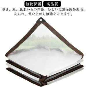 �� ���O �ό� �h�� �܂肽���� �h���V�[�g ���O�� �A�� �f�M�V�[�g ���� �؉� 2×3m �ۉ� �r�j�[�� �J�o�[ �~ ���� ���[�v�t��