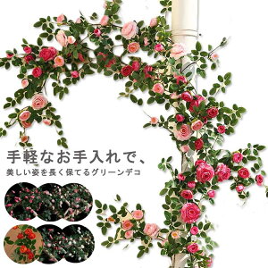  sN tFCNt[ 1.7m o tFCNO[ t[AWg Ǌ| ډB O[tFX CeA